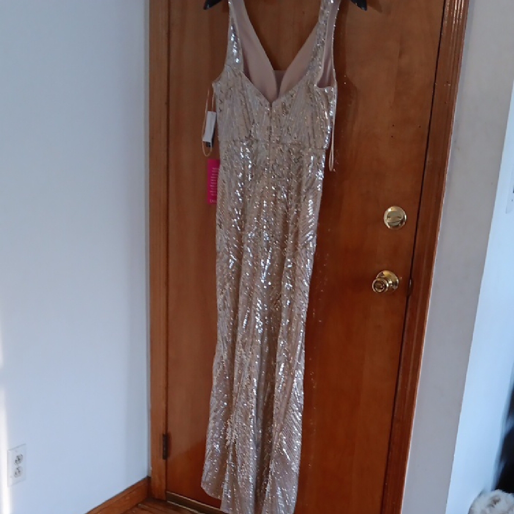 Champagne Silver Sequin Gown - Picture 9 of 10